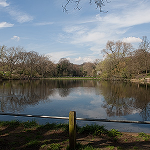 Hampstead #2 Pond Existing View