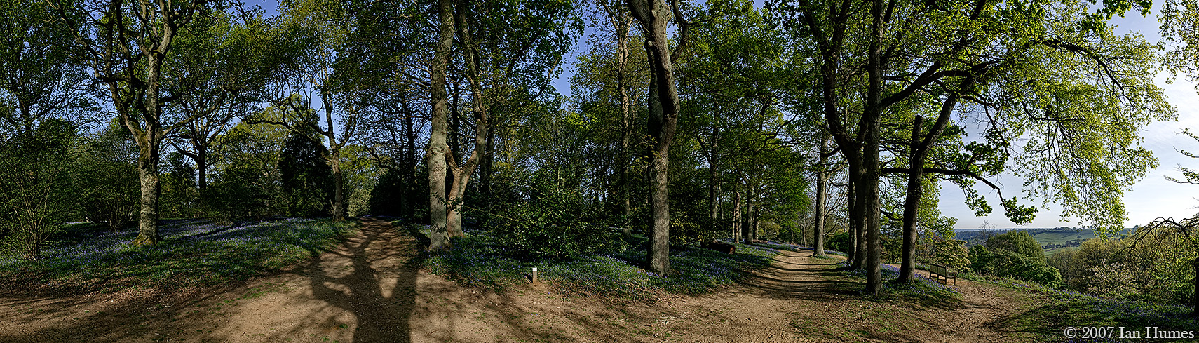Winkworth Arboretum - Surrey