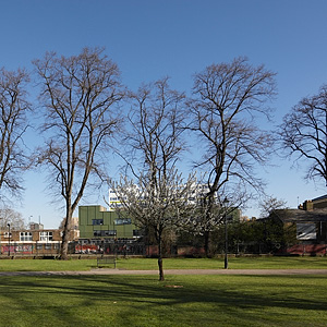 Dame Colet House Existing View