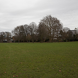View from Wandle Park