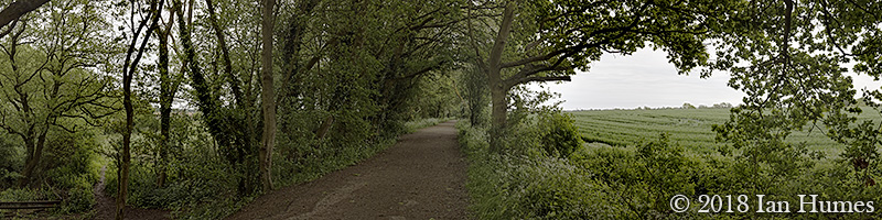 Footpaths & Tracks #2.