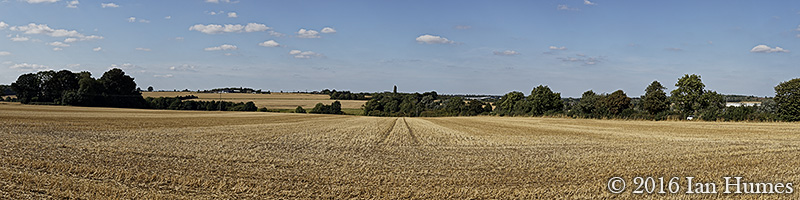 Agriculture Harvested.