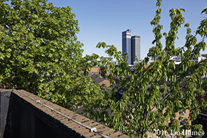 Thomas Street Existing View